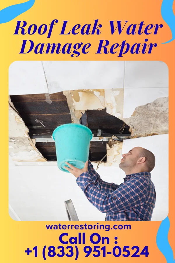Roof Leak Water Damage Repair in Holland, TX
